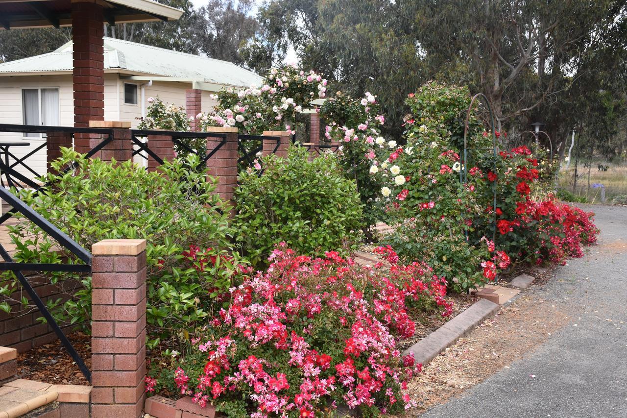 Mount Barker Valley Views Motel & Chalets, Western Australia Eksteriør billede